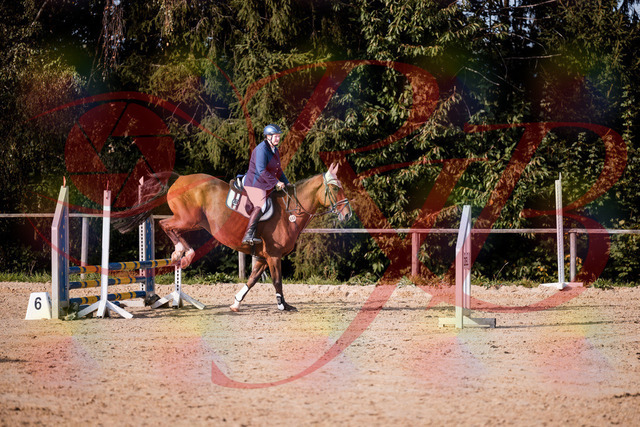 2026_10_03_Siefer-Hof_160653_Z81_88782944 | Professionelle Reitsport-, Turnier- und Eventfotografie von Robert Broda. Galerien mit ausgewählten und bearbeiteten Bildern direkt online ansehen und bestellen.