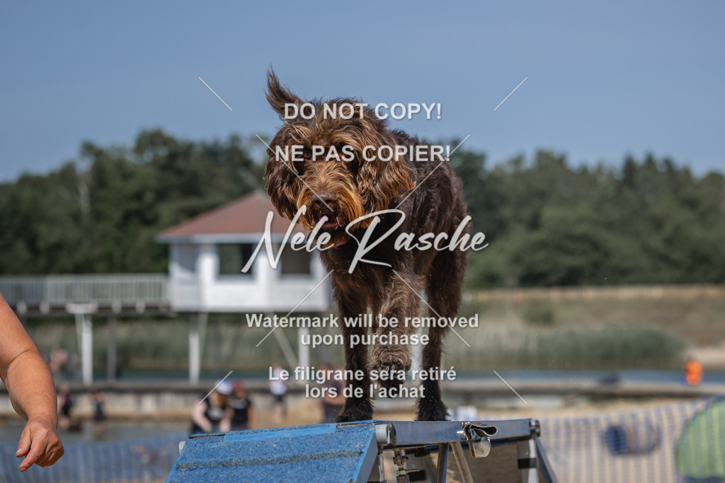 nelerasche_saBeachility_459 | nelerasche