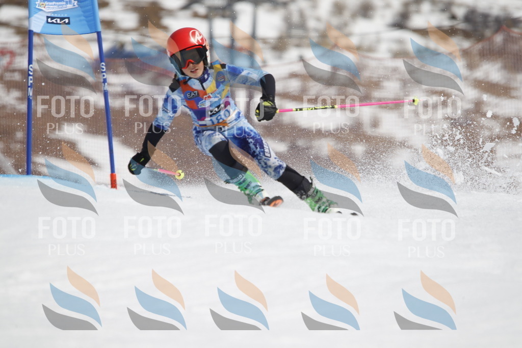 _U3G1716 | holidayphoto