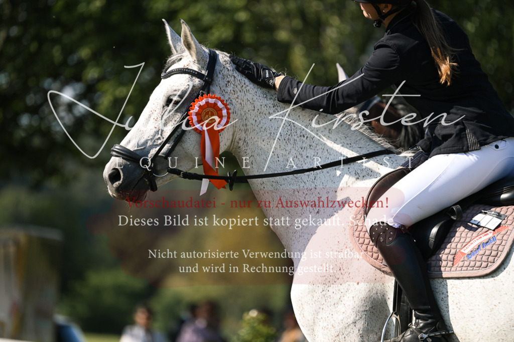DSC_1555 | Pferde- und Turnierfotografie in Westsachsen. Pferdeportraits, Auftragszeichnungen und intuitive Kunst.