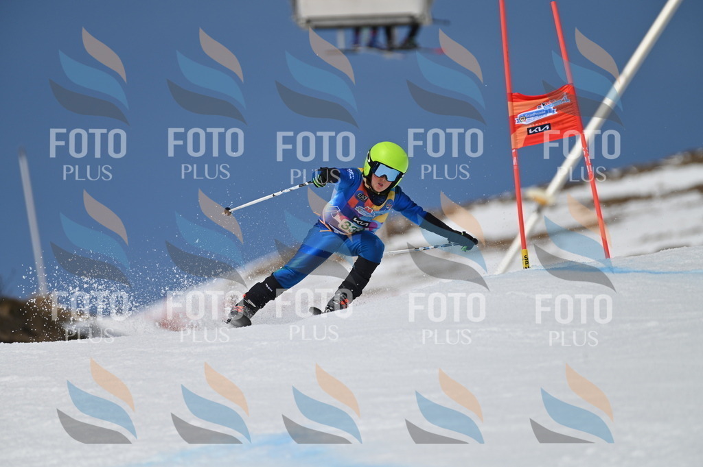 BGV_6590 | holidayphoto