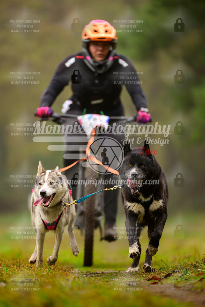 MompixPhotography_Bischwiller2025_Bike-144 | mompixphotography
