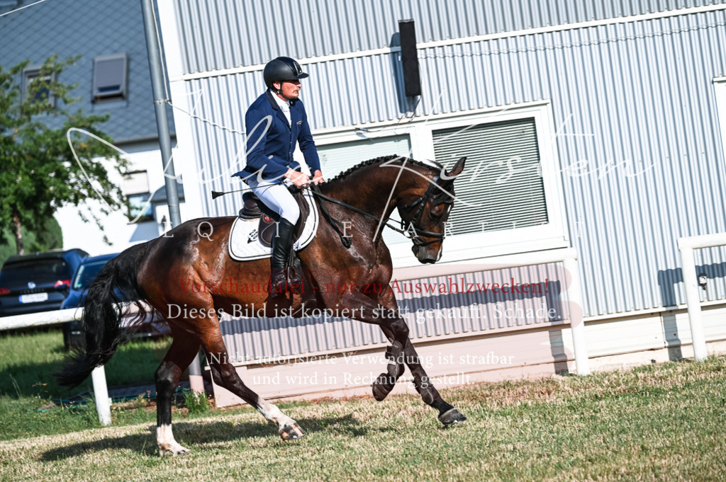 DSC_7441 | Pferde- und Turnierfotografie in Westsachsen. Pferdeportraits, Auftragszeichnungen und intuitive Kunst.
