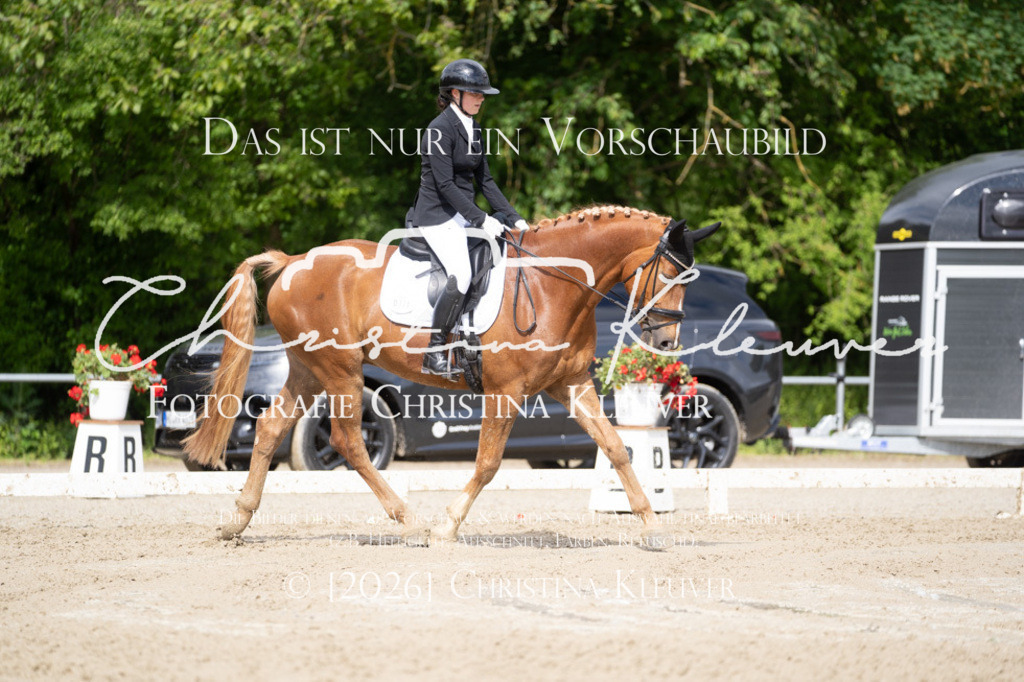 DSC06590 | Christina-Kleuver