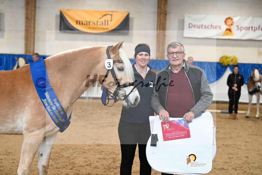 Bl. Band Kat-Nr. 3 Lorena v. Sterlington_Weber_48251516 | hf-fotografie - Realisiert mit Pictrs.com