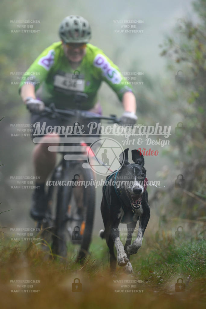 MompixPhotography_20TSB_E4_Bike-148 | PayLife
