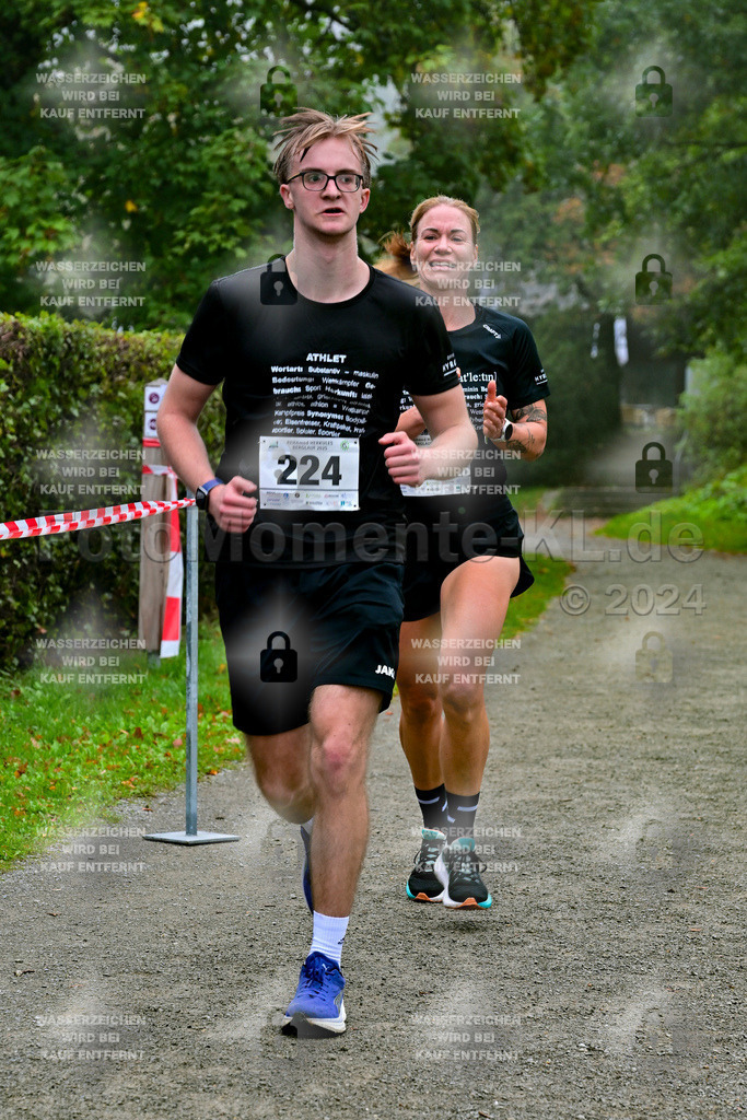 Z8N_2413 | la-psv - Realisiert mit Pictrs.com