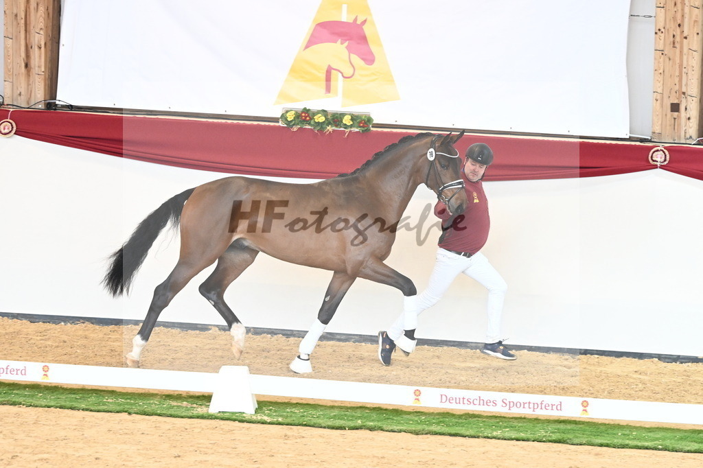 Kat.-Nr. 78 v. Valdiviani_Schulze Averdiek_2240897 | hf-fotografie - Realisiert mit Pictrs.com