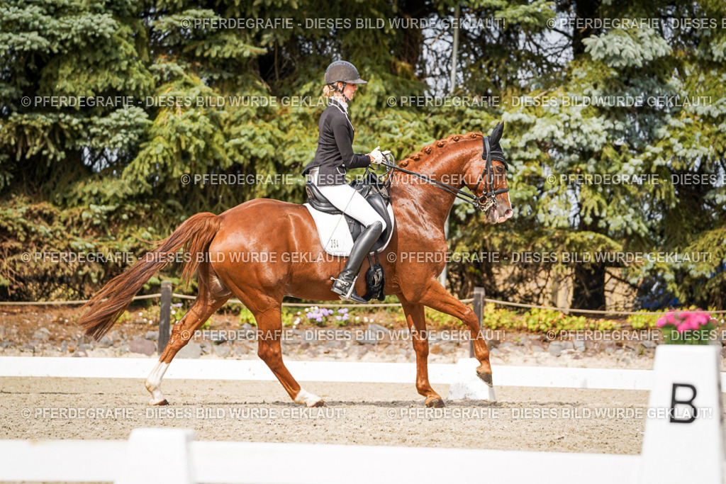 DSC06734 | Pferdegrafie