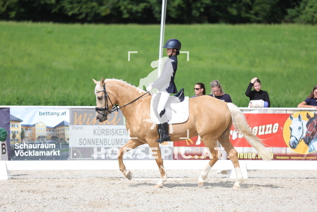 0P6A4921 | Willkommen bei Brunnmayr - Design & Fotografie – Ihrem Spezialisten für Reitturniere und Pferdeveranstaltungen in Oberösterreich, Salzburg und Bayern! Seit über 17 Jahren sind wir leidenschaftlich dabei.