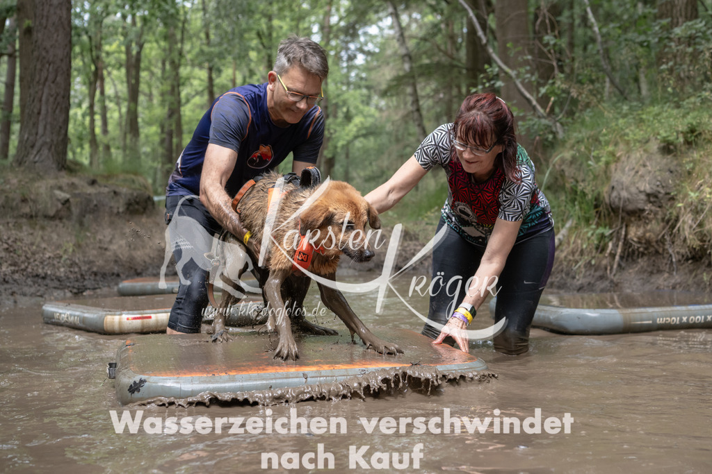 1335_ZZ94812 | kk-dogfotos
