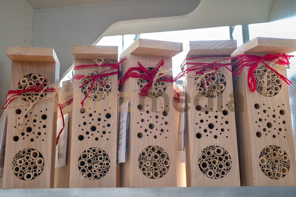 019_Villa Kunterbunt WBZ Vernissage _ Ausstellung_kunzmedia.ch | OnlineShop für Bilder kunzmedia.ch