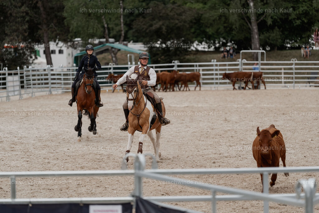 WE__Stoib_Rinder_PI2025_3174 | Pferd International München 2025