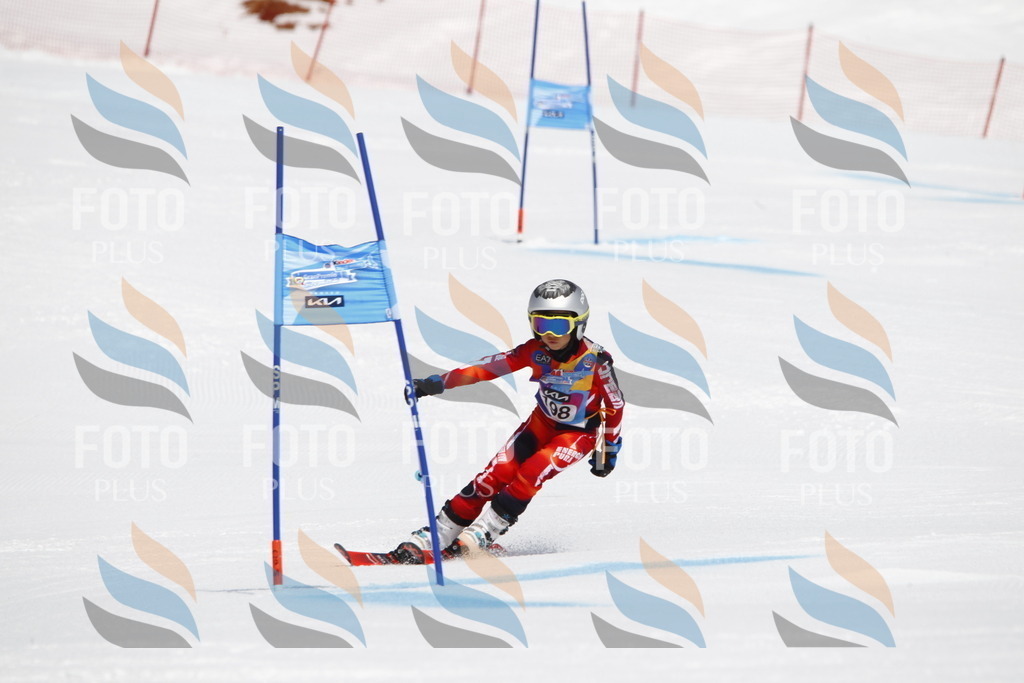 _U3G5153 | holidayphoto