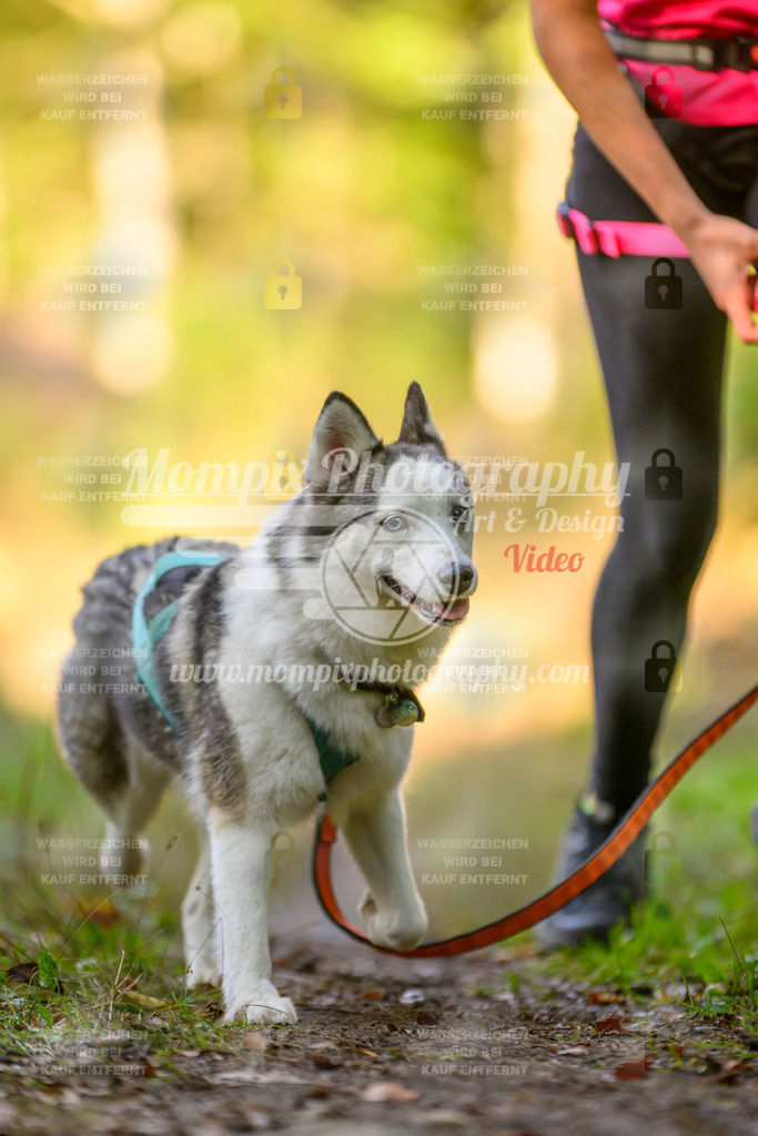 MompixPhotography_Yens2025_B3-172 | PayLife