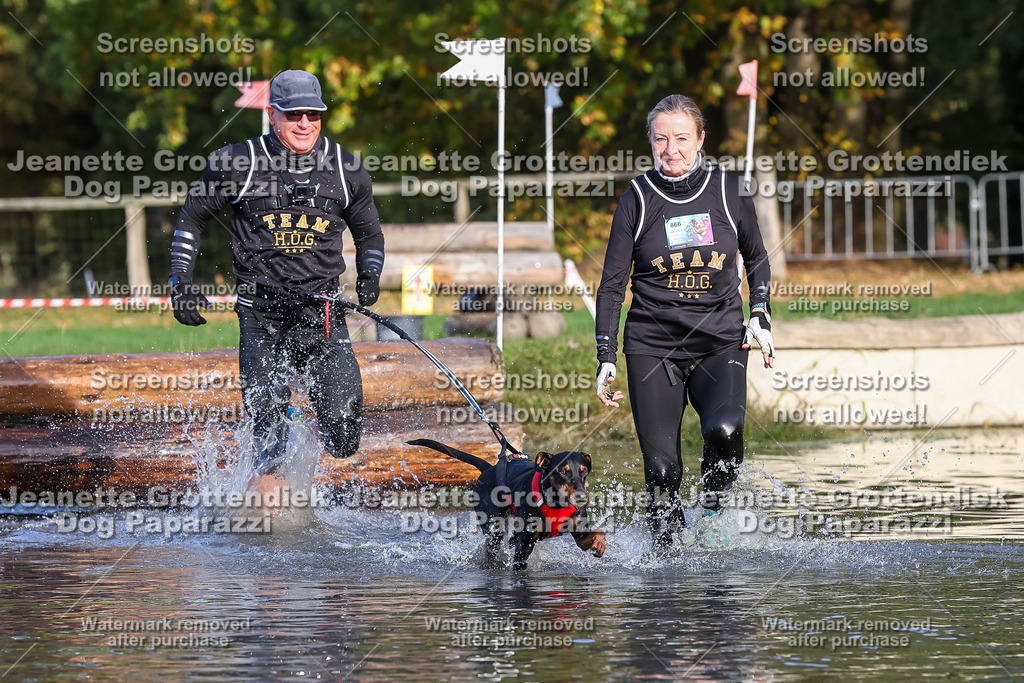 Dog Paparazzi - Strongdog 10-25-8455 | Dog Paparazzi Jeanette Grottendiek Fotografie & Videografie - Realisiert mit Pictrs.com