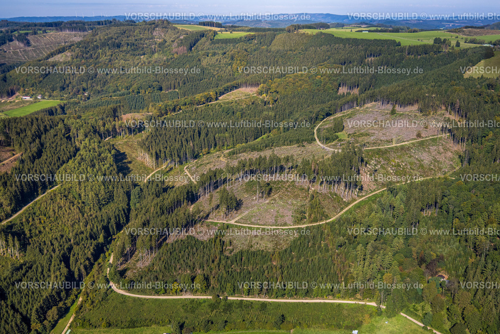 Finnentrop230908408Glinge | Luftbild, Waldgebiet mit Waldschäden, Glinge, Rönkhausen, Finnentrop, Sauerland, Nordrhein-Westfalen, Deutschland