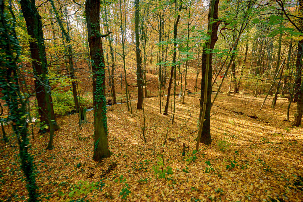 Im Lößnitzgrund 01 | Fotos als Raumschmuck - Realisiert mit Pictrs.com
