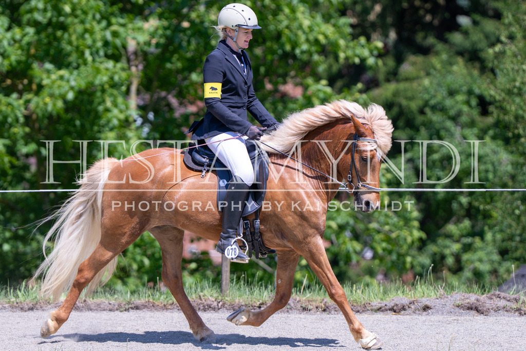 KAI03482 | Ihr sucht einen Fotografen für eure nächste OSI? Ich begleite auch euer Turnier für Islandpferde fotografisch.  - Realisiert mit Pictrs.com