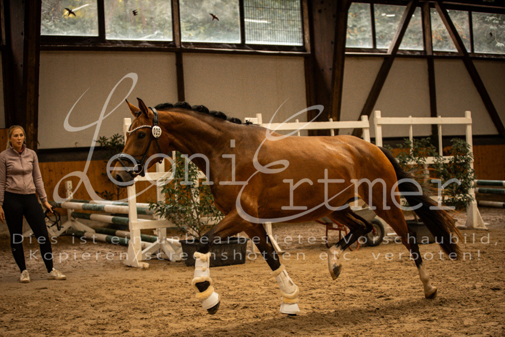 2FS_L00142 | Leoni Ertmer Photography - Realisiert mit Pictrs.com