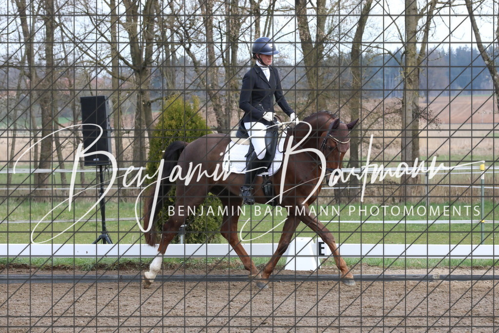 AZ2A6466 | Benjamin Bartmann Photomoments