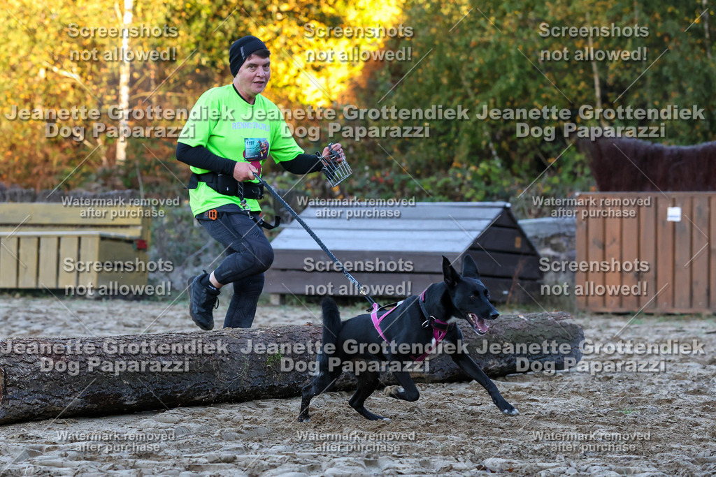 Dog Paparazzi - Strongdog 10-25-383 | Dog Paparazzi Jeanette Grottendiek Fotografie & Videografie - Realisiert mit Pictrs.com