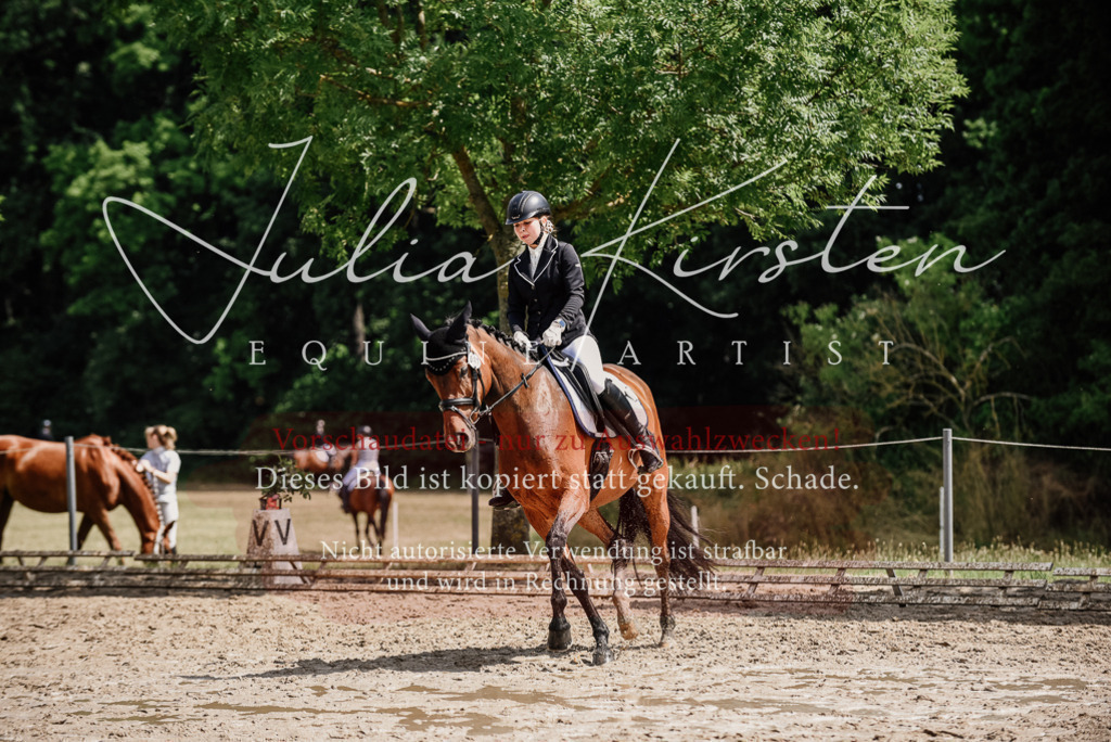 DSC_0938 | Pferde- und Turnierfotografie in Westsachsen. Pferdeportraits, Auftragszeichnungen und intuitive Kunst.