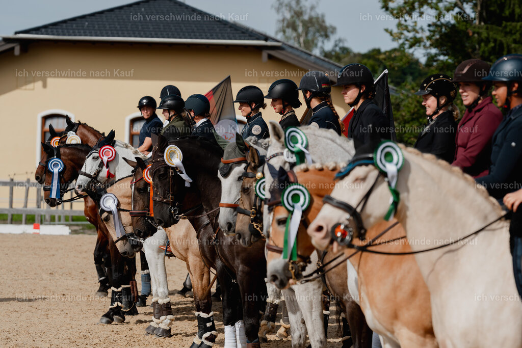 Diana11_FHC2025-01974 | working equitationturnier fotograf videograf stoibphotography marixx film working equitation deutschland reitsport turnierfotografie eventfotografie equestrian events