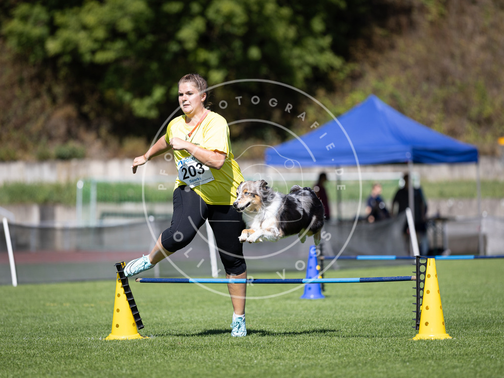Pfotenfotografie_DV3A5055 | Hundefotografie, Tierfotograf, Pfotenfotografie, Fotoshooting Hund, Hunde Portrait, Hundesport, Hundeportraits, Heideshooting, Hunde, Sportfotograf, Hundefotograf, Turnierhundsport, THS,  - Realisiert mit Pictrs.com