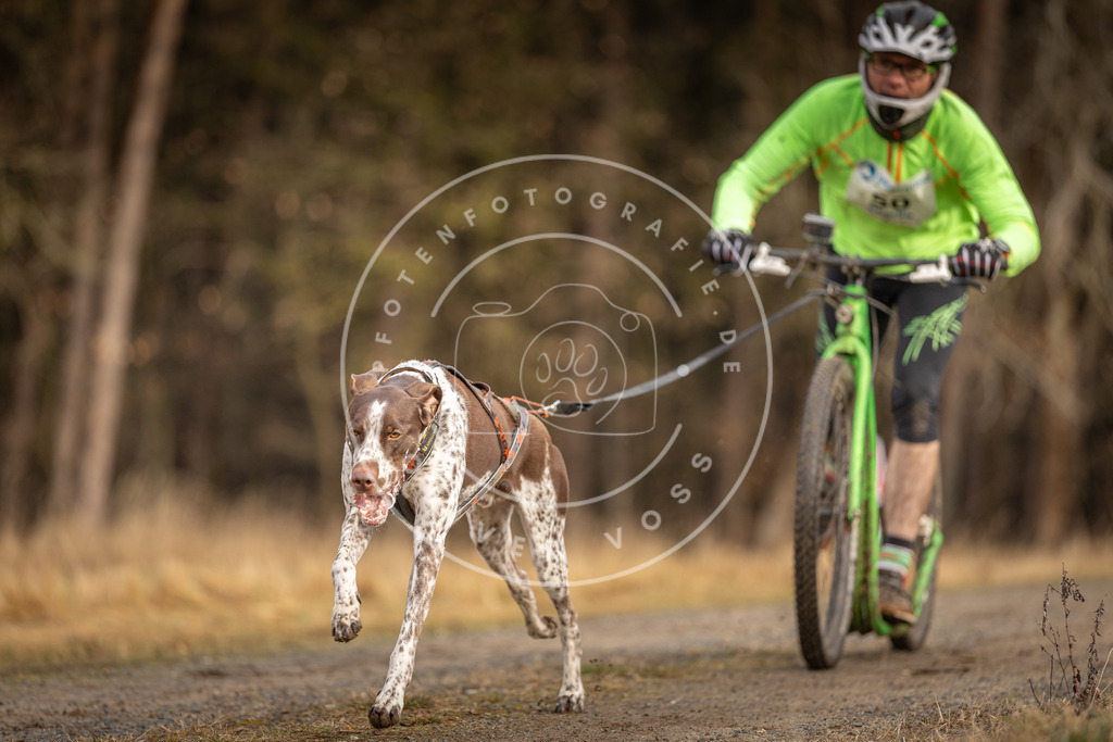 DV3A3425 | Hundefotografie, Tierfotograf, Pfotenfotografie, Fotoshooting Hund, Hunde Portrait, Hundesport, Hundeportraits, Heideshooting, Hunde, Sportfotograf, Hundefotograf, Turnierhundsport, THS,  - Realisiert mit Pictrs.com