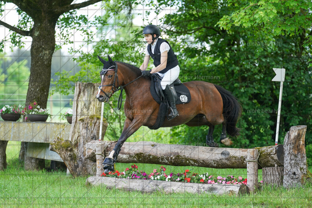 20240518-FAH03800 | Turnierbilder von Niederseon, Turnierfotografen Bayern, Fotoagentur Herrmann, Geländebilder, Reitsportfotografie