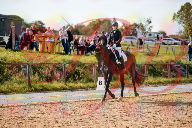 2026_10_03_Siefer-Hof_133449_Z63_93433567 | Professionelle Reitsport-, Turnier- und Eventfotografie von Robert Broda. Galerien mit ausgewählten und bearbeiteten Bildern direkt online ansehen und bestellen.