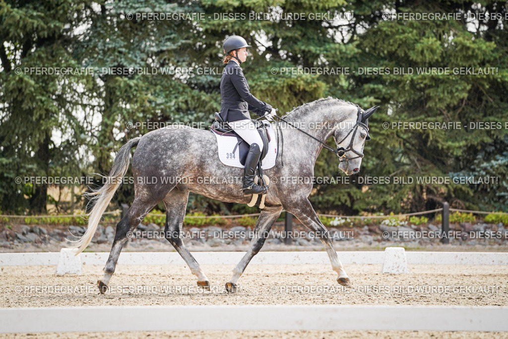 DSC08012 | Pferdegrafie