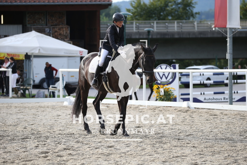 DL2Q5196 | Willkommen bei Brunnmayr - Design & Fotografie – Ihrem Spezialisten für Reitturniere und Pferdeveranstaltungen in Oberösterreich, Salzburg und Bayern! Seit über 17 Jahren sind wir leidenschaftlich dabei.