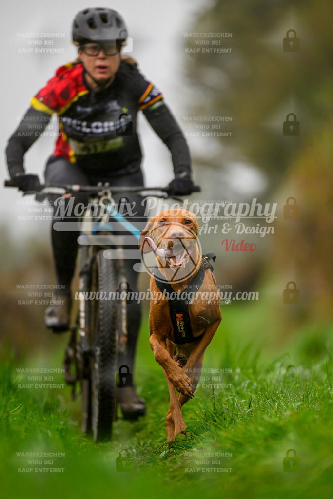 MompixPhotography_20TSB_E8_Bike-75 | PayLife