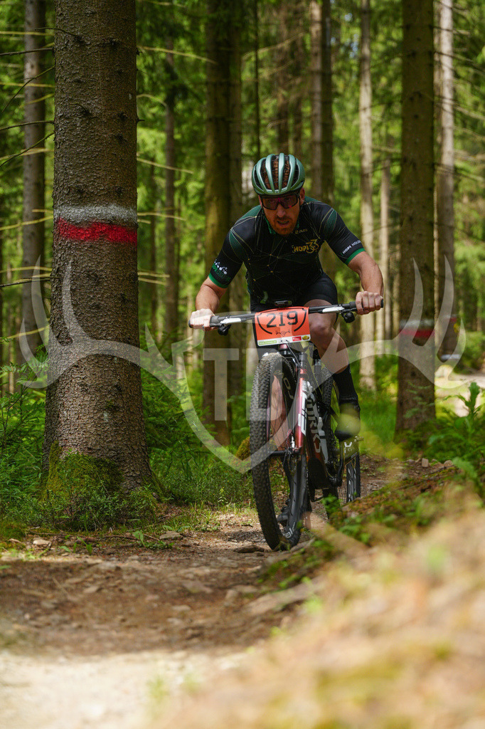 FC603678 | Fotogalerie der Treibjagd im Dunkelwald - Dein MTB Etappenrennen im Erzgebirge - Realisiert mit Pictrs.com