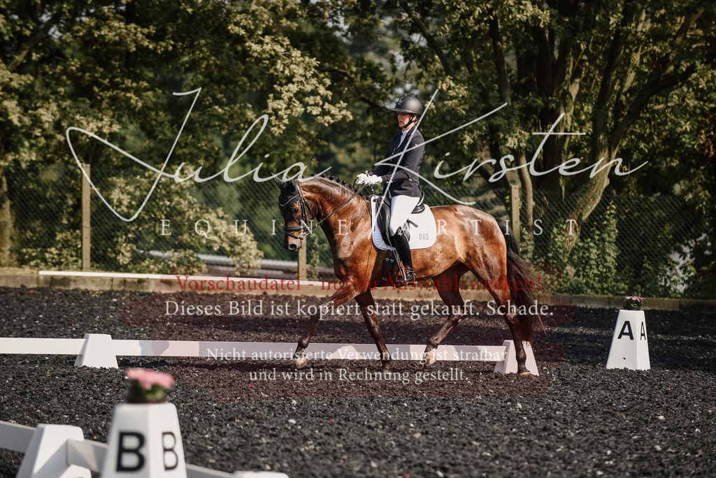 DSC_3107 | Pferde- und Turnierfotografie in Westsachsen. Pferdeportraits, Auftragszeichnungen und intuitive Kunst.