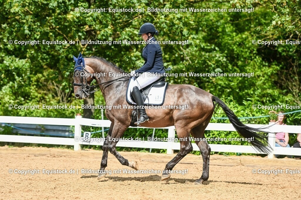 20230716_01_Dressurprüfung Kl.M_0296 | equistock