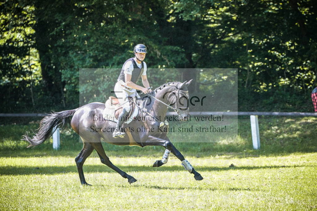 DOS_4617 | Entdecke hochwertige Reitturnierfotos von Foto Oger. Professionell, emotional und authentisch – jetzt Lieblingsmomente im Shop bestellen.Deutschlandweite Turnierfotografie. - Realisiert mit Pictrs.com