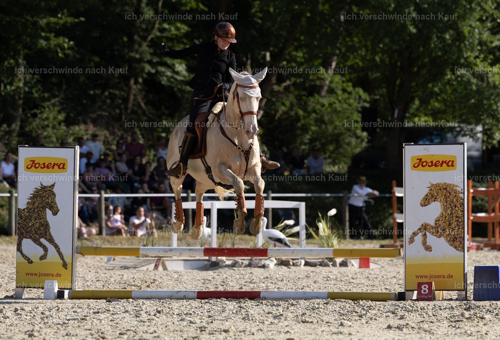 WS_SPEED_65_KerstinBernhardt-13 | working equitationturnier fotograf videograf stoibphotography marixx film working equitation deutschland reitsport turnierfotografie eventfotografie equestrian events