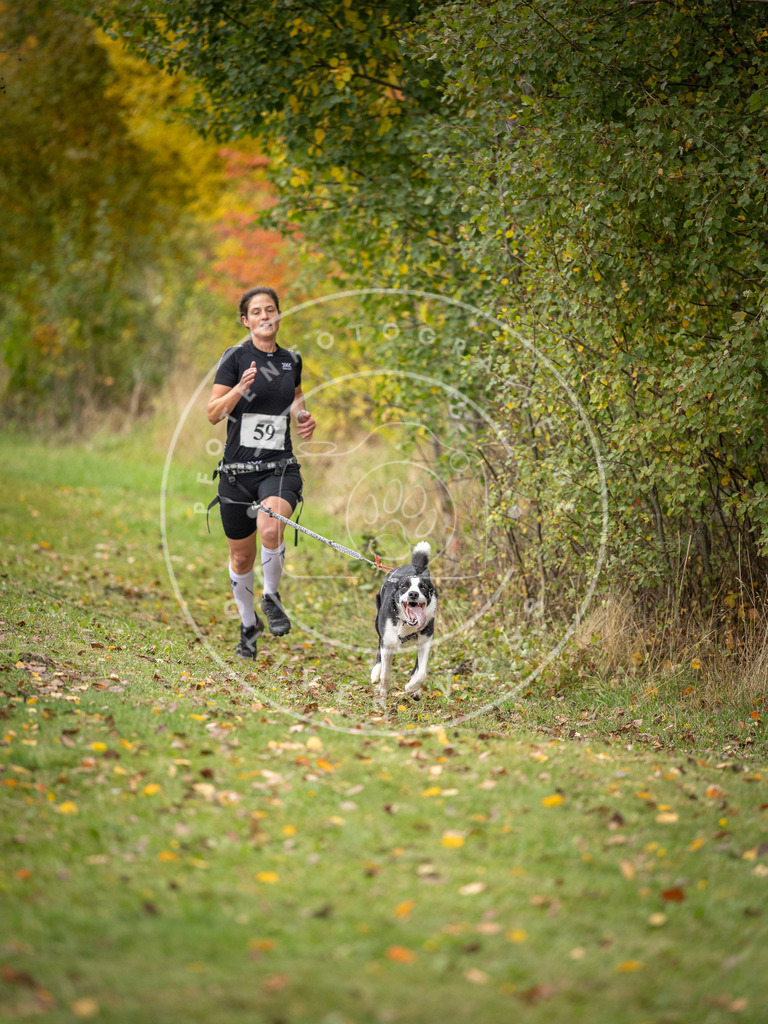 Pfotenfotografie_DV3A2621 | Hundefotografie, Tierfotograf, Pfotenfotografie, Fotoshooting Hund, Hunde Portrait, Hundesport, Hundeportraits, Heideshooting, Hunde, Sportfotograf, Hundefotograf, Turnierhundsport, THS,  - Realisiert mit Pictrs.com