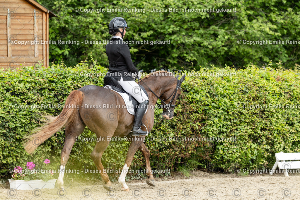 CL5A1294 | Emilia Reinking Fotografie - Realisiert mit Pictrs.com