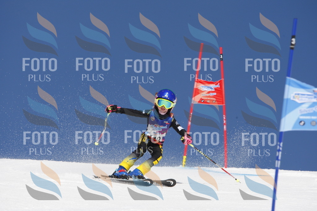 _W1G1674 | holidayphoto