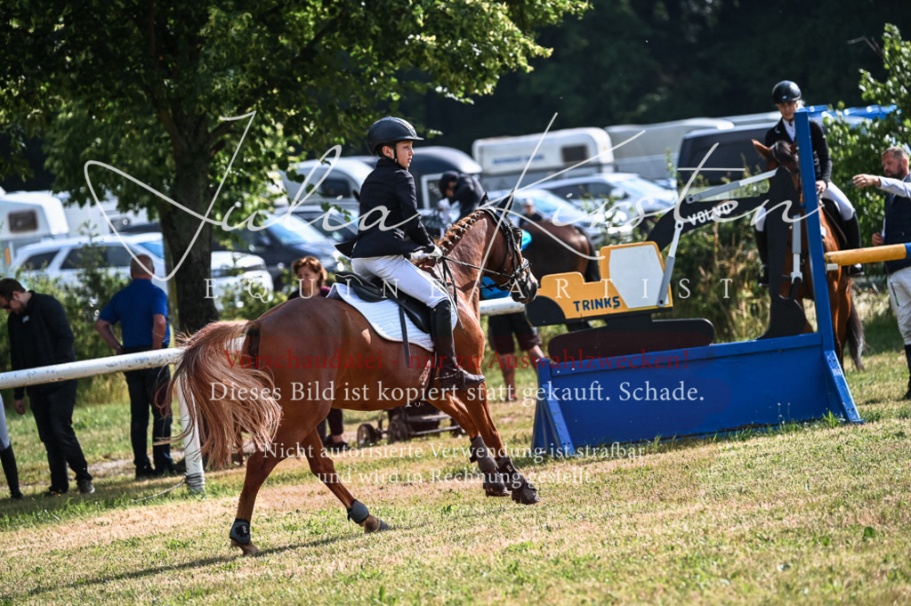 DSC_7781 | Pferde- und Turnierfotografie in Westsachsen. Pferdeportraits, Auftragszeichnungen und intuitive Kunst.