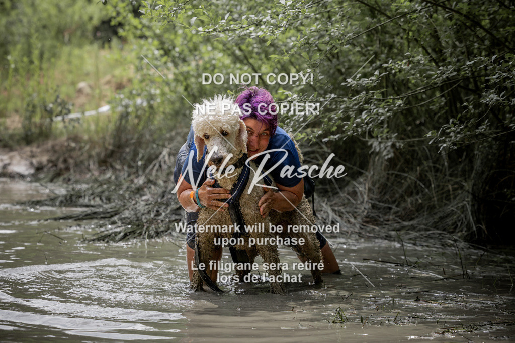 nelerasche_so1300-1330_346 | nelerasche