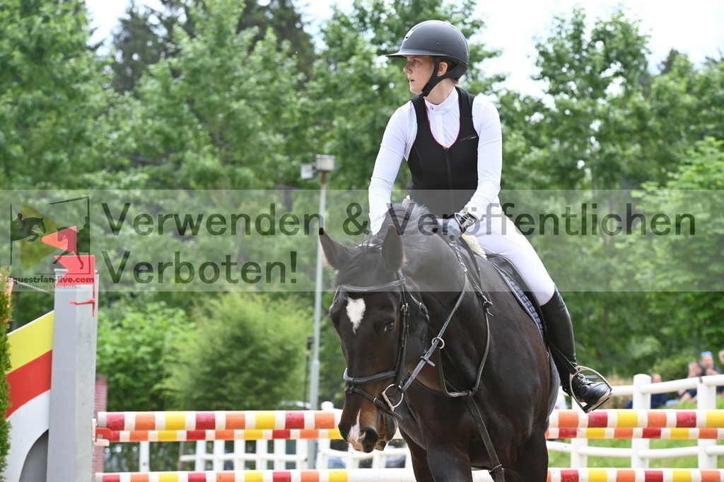DSC_8462 | equestrian-live-com