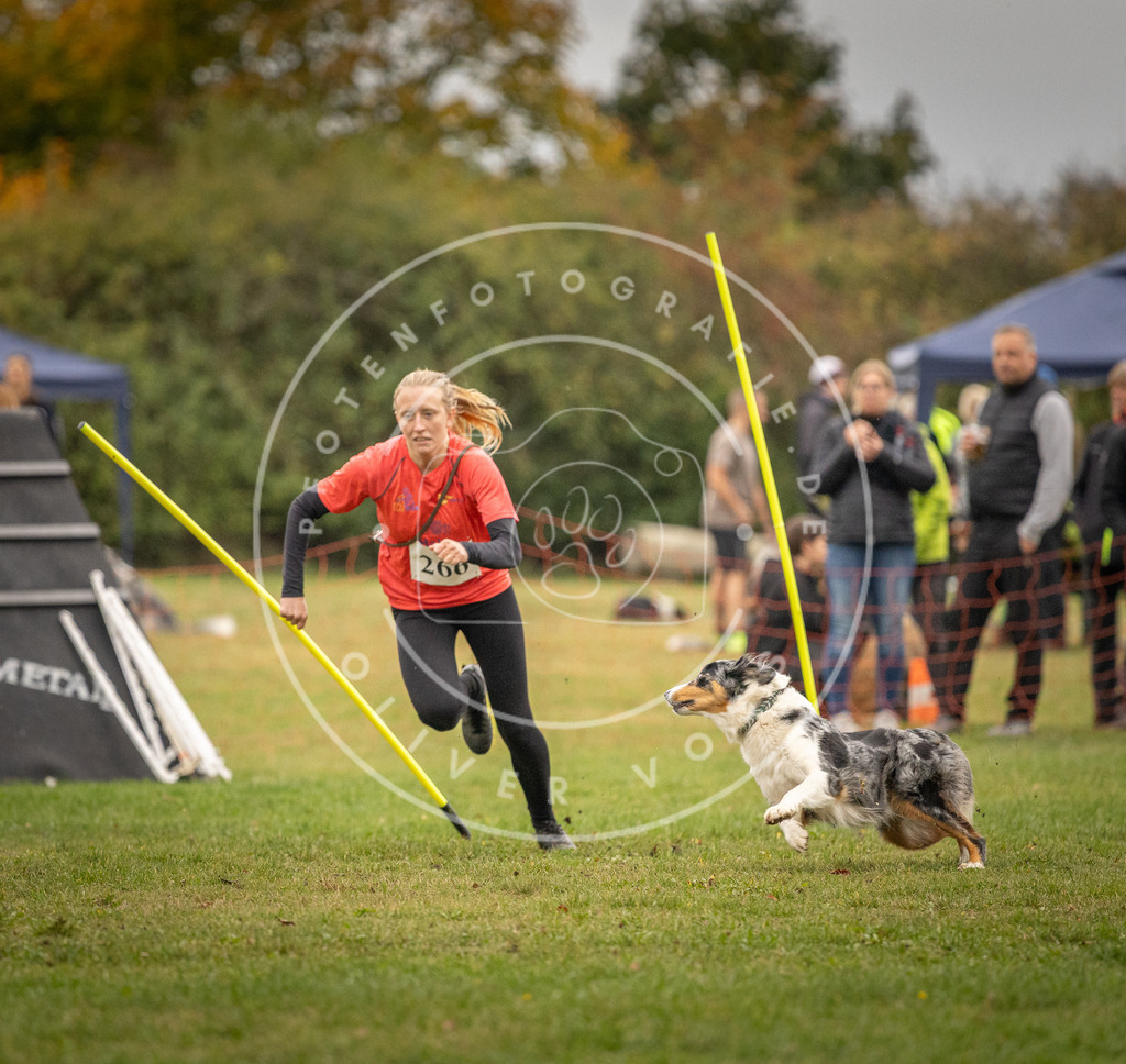 Pfotenfotografie_DV3A7506 | Hundefotografie, Tierfotograf, Pfotenfotografie, Fotoshooting Hund, Hunde Portrait, Hundesport, Hundeportraits, Heideshooting, Hunde, Sportfotograf, Hundefotograf, Turnierhundsport, THS,  - Realisiert mit Pictrs.com