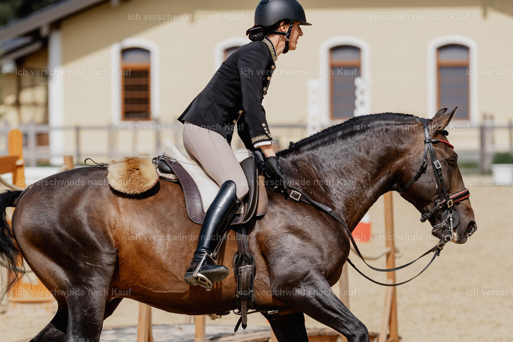 Virginie12FHC2025-3096 | working equitationturnier fotograf videograf stoibphotography marixx film working equitation deutschland reitsport turnierfotografie eventfotografie equestrian events