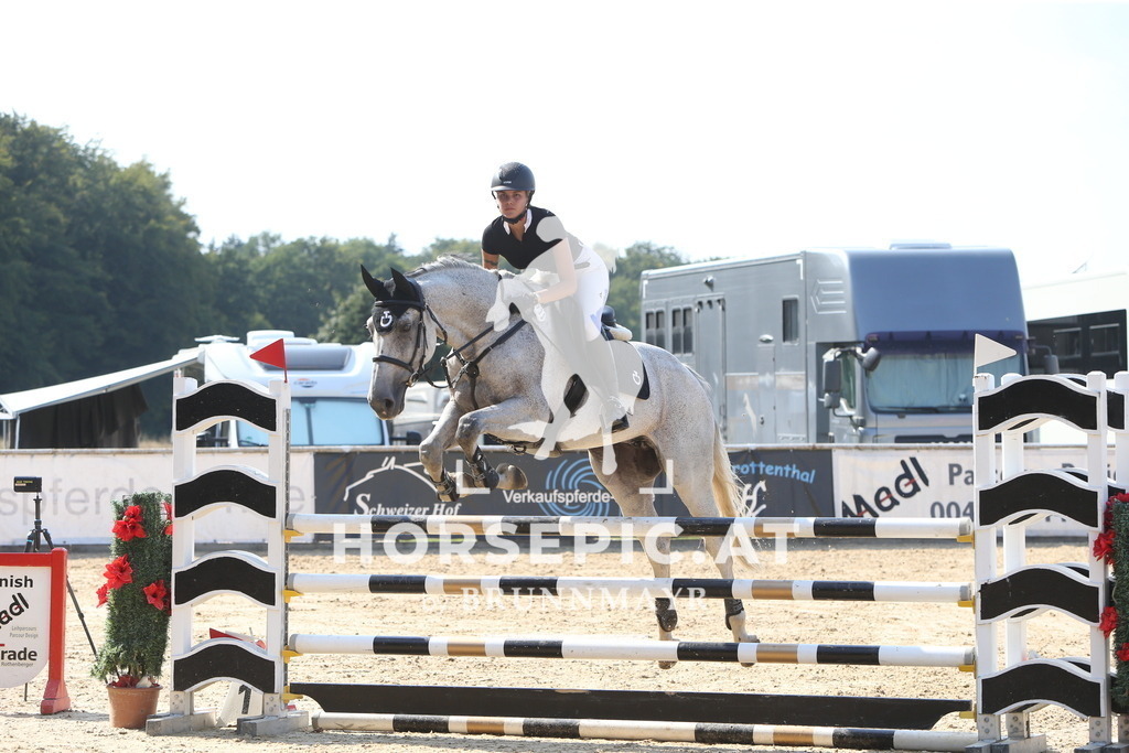 DL2Q1949 | Willkommen bei Brunnmayr - Design & Fotografie – Ihrem Spezialisten für Reitturniere und Pferdeveranstaltungen in Oberösterreich, Salzburg und Bayern! Seit über 17 Jahren sind wir leidenschaftlich dabei.