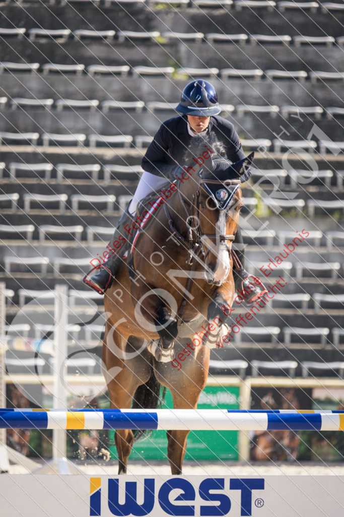 IMG_2904 | Sport-, Event- und Tierfotos in Profiqualität. Einfach auswählen, bestellen und herunterladen. Dein Moment – perfekt festgehalten.